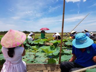 Tourismus Lotus See Quang Nam